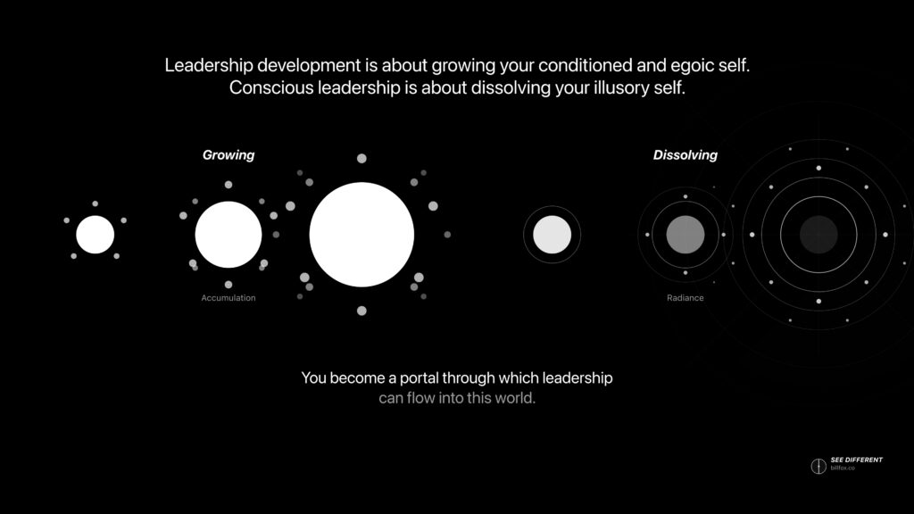 ego-dissolution-leadership